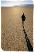 AnestaWeb - Weight Loss, Diets, Emotional Eating, Binge Eating Disorder, Fitness, Nutrtion, Behavior Modification, Appetite Supplements, Genetics, Weight Loss, Diet Pills, Phentermine, Xenical, Bontril, Meridia, Mens Fitness, Muscle and Fitness, Health, Fitness Magazines, Fitness Online, Fitnessonline, Body, Health, Better Health, Lose Weight Overweight, Underweight, Tone Up, Get inShape, Out of Shape, Weight Loss Diets, Fats, Foods, Recipes, Body Mass Index, BMI, Abs, Thighs, Butt, Tone, Toning,Calories, Pectorals, Pecs, Biceps, Bodybuilding, Weightlifting, Workouts, Six Pack Stomach, Abdominal Exercises, Strength, Anestaweb.com